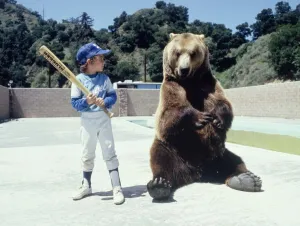Hercules the bear is learning about baseball from a young boy in Hollywood May 1983 Hercules the bear is learning about baseball from a young boy in Hollywood May 1983