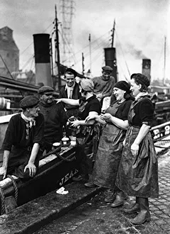 As herring catches have not come up to expectation these English As herring catches have not come up to expectation these English