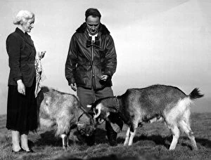 00864 Gallery: Hilbre Island custodian Charles Clifton and his wife Jean feeding their two goats