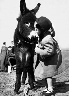 01228 Gallery: Holidays - Children with Animals Donkey Dorothy 4 Years old with a young Donkey