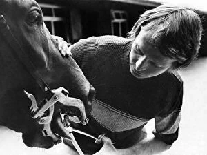 Horse dentist Gordon Holmes treating a patient at The Stables, Greystoke, near. Penrith