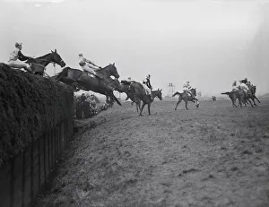 Grand National Gallery: Horse Racing The Grand National 1949 Winner 'Russian hero'