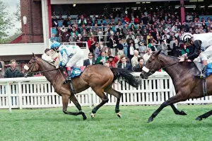 Images Dated 31st May 1993: Horse Racing at Redcar. Zetland Gold Cup Day. 31st May 1993