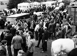 00363 Gallery: Horses and people are all crowded together at the Appleby Horse Fair in Westmorland