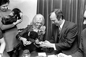 Humour: Unusual: Animals: Bears visits pub. December 1971 71-11988-003 Humour: Unusual: Animals: Bears visits pub. December 1971 71-11988-003