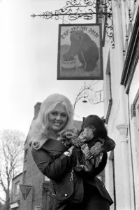 Mirror/0000to0099 00057/humour unusual animals bears visits pub Mirror/0000to0099 00057/humour unusual animals bears visits pub