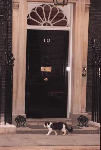 Humphrey the Downing street cat March 1996 Humphrey the Downing street cat March 1996