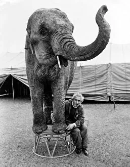 Indian elephant Sarah having her nails filed by her trainer Mr George Biddall of Sir