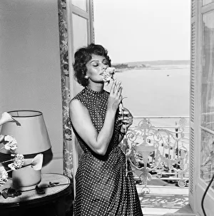 00140 Gallery: Italian actress Sophia Loren smelling a flower in her hotel room at the Cannes film