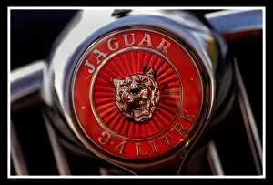 Images Dated 30th November 1999: Jaguar Cars November 1999 badge