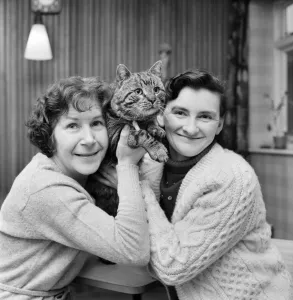 Images Dated 10th February 1972: Jasper, the cat with two homes, seen here with Mrs. Whittaker (left) and Mrs