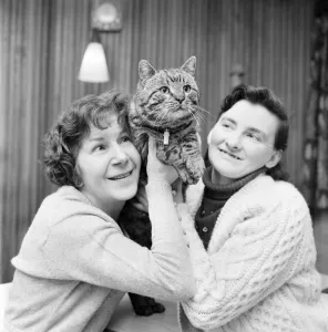 Images Dated 10th February 1972: Jasper, the cat with two homes, seen here with Mrs. Whittaker (left) and Mrs