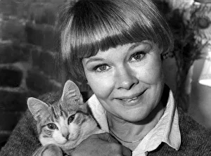 Mirror/1400to1499 01429/judi dench holding pet cat home 10 february Mirror/1400to1499 01429/judi dench holding pet cat home 10 february