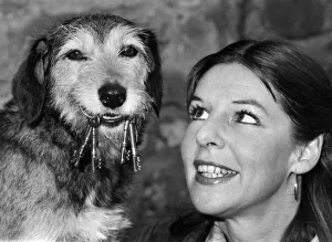 Not just a pretty face applies as much to superdog Savage as it does to his absent-minded Not just a pretty face applies as much to superdog Savage as it does to his absent-minded