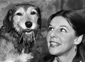 Not Just A Pretty face. applies as much to superdog Savage as it does to his Not Just A Pretty face. applies as much to superdog Savage as it does to his
