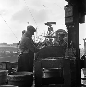 East Yorkshire Gallery: King George Dock, Hull. Mr Harry Kelsey (51, right) and Mr J Watson (49, left)