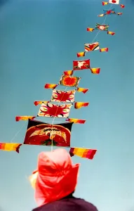 Images Dated 1st June 1995: Kites at Washingtons Northern Area Playing fields for the annual festival in June