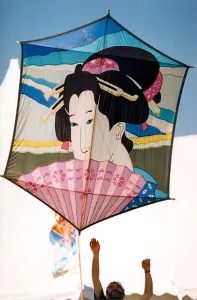 Images Dated 1st June 1995: Kites at Washingtons Northern Area Playing fields for the annual festival in June