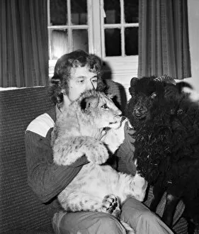 Lamb and Lion and Safari Warden Ken Lawrence. December 1974 74-7586