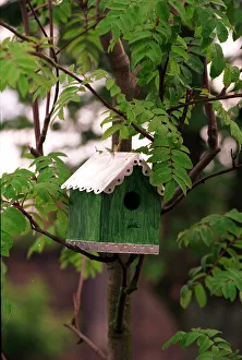 Images Dated 20th August 1998: LANDSCAPE ARCHITECT JOANNE BRINDLEY Aug 1998 IN BEAZER HOMES WILDLIFE GARDEN Home