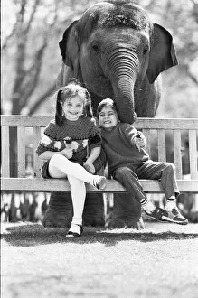 Images Dated 28th April 1987: Layang Layang London Zoos Asian Elephant tries to muscle in on Faye Trinaman