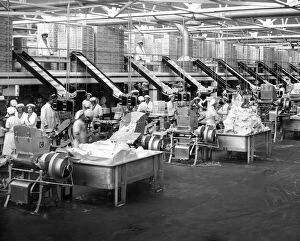 00864 Gallery: Levers margarine factory, a view of the vast packing section. 1st June 1932