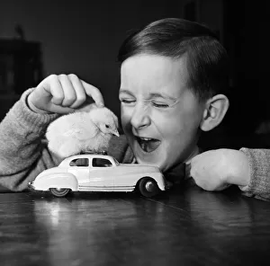 A little boy with a baby chick. 13th March 1954 A little boy with a baby chick. 13th March 1954