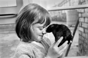 Little girl holding a rat. November 1969 Z10521 Little girl holding a rat. November 1969 Z10521