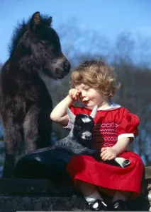 Little girl hugging pygmy goat kid with miniature horse April 1981 Little girl hugging pygmy goat kid with miniature horse April 1981