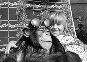 Little Kimberley Clark, from Rochdale, Lancs cuddles up to Judy the chimpanzee on a Little Kimberley Clark, from Rochdale, Lancs cuddles up to Judy the chimpanzee on a