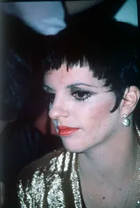 Liza Minnelli singer and actress daughter of singer and actress Judy Garland Liza Minnelli singer and actress daughter of singer and actress Judy Garland