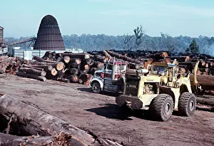 Logging trucks being unloaded at Sawmill near Orbost in Victoria, Australia Logging trucks being unloaded at Sawmill near Orbost in Victoria, Australia