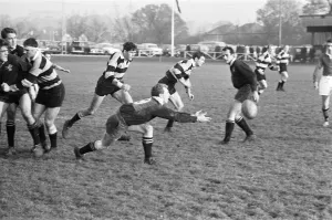 London Wasps v Cardiff, Rugby Union Match at Sudbury, 18th November 1967 London Wasps v Cardiff, Rugby Union Match at Sudbury, 18th November 1967