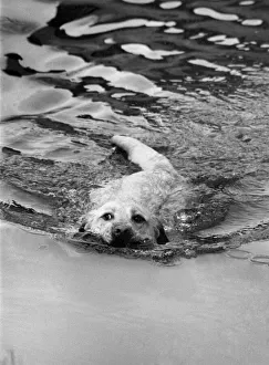 March Gallery: 3 Mar 1981 Collection