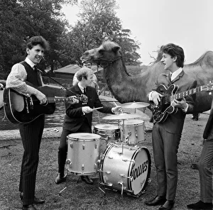 Manchester pop group The Hollies pictured performing at Chessington Zoo in front of Manchester pop group The Hollies pictured performing at Chessington Zoo in front of