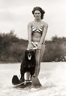 Mandy the Water Skiing dog with owner Ginny Venables at the Forest Lake Water Ski club in Mandy the Water Skiing dog with owner Ginny Venables at the Forest Lake Water Ski club in