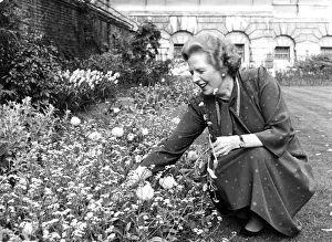 Margaret Thatcher picking flowers in garden - April 1987 Margaret Thatcher picking flowers in garden - April 1987
