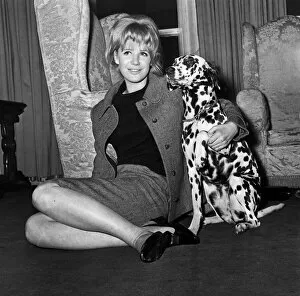 Celebrity Pets Gallery: Marianne Faithfull pop singer actress with dog 1965