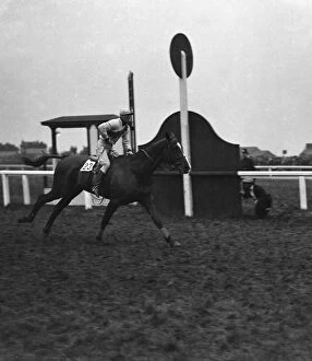 1920s Gallery: Master Roberts ridden by Bob Trudgill and trained by Aubrey Hastings