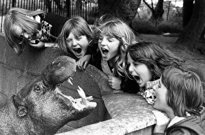 Images Dated 1st July 1975: When Maxie laughs, everybody laughs. Maxie the pygmy Hippo is one of the favourites of