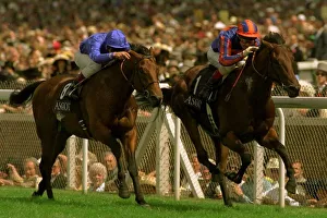 Among men (rails) wins from Kahal on left in the Jersey Stakes at Royal Ascot June 1997 Among men (rails) wins from Kahal on left in the Jersey Stakes at Royal Ascot June 1997