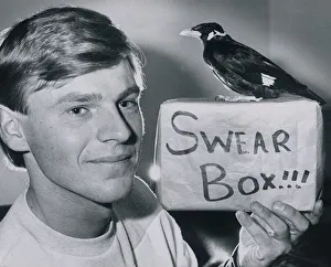 Merc the mynah bird is up for sale - because of his major language problem Merc the mynah bird is up for sale - because of his major language problem