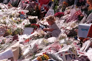 Images Dated 2nd September 1997: Messages of sympathy following the death of Princess Diana outside Buckingham Palace