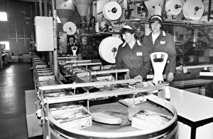 Millions of tea bags go through the machine at the Tetley Tea factory, Eaglescliffe Millions of tea bags go through the machine at the Tetley Tea factory, Eaglescliffe