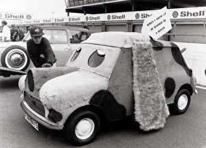 Mini Car Anniversary. 25, 000 Mini's turned up at Silverstone to celebrates 30 years