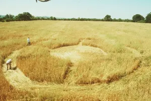 00000 Prints: 1990 Crop Circles Print