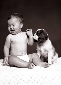 Mirror Prints: Baby Sophie O'Donnell Print, King Charles Spaniel October 1977