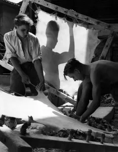 00001 Prints: Manufacture of Vellum Print, July 1949