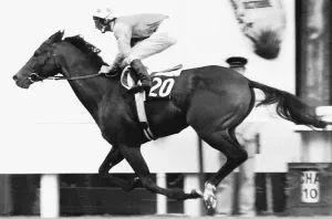 00003 Prints: Alleged Print with Lester Piggott at the Prix De L'Arc