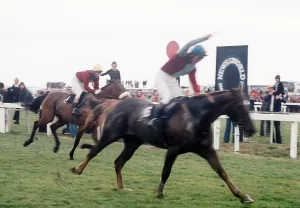 00006 Prints: Red Rum and jockey Tommy Stack in defeat, 1976 Grand National Print